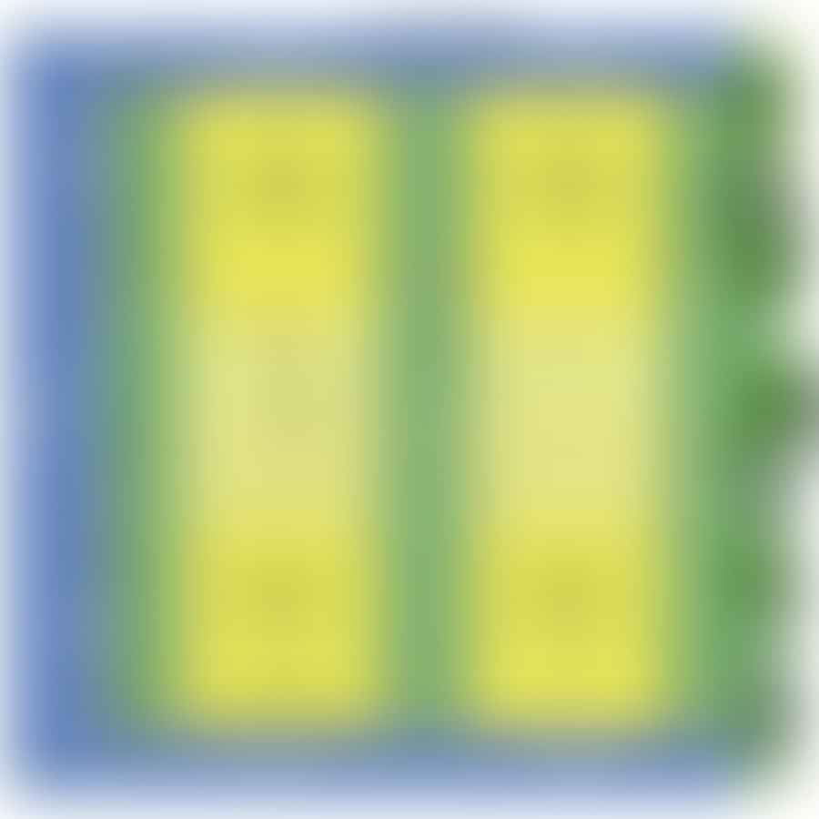 Detailed diagram of a pickleball court with dimensions and zones